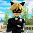 amino-Chat Noir-5e2b6304