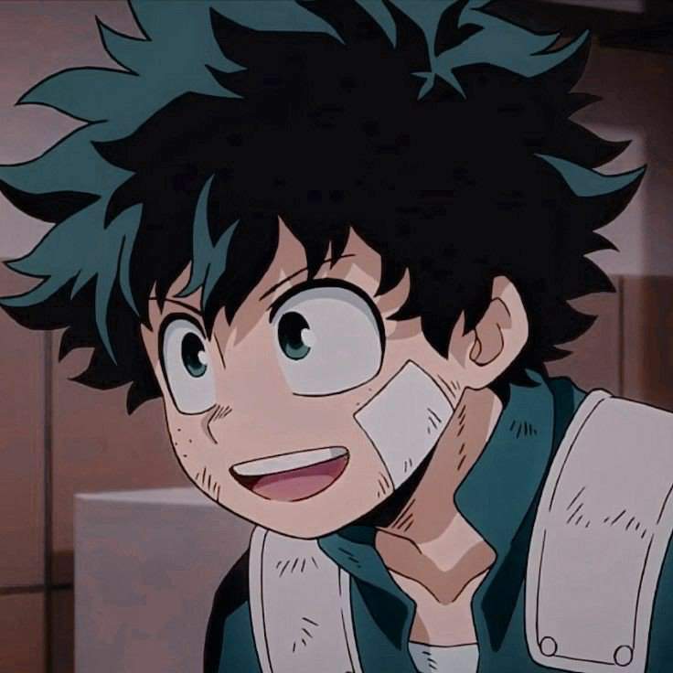 Sobre Izuku Midoriya | Wiki | Boku No Hero Academia Amino. Amino