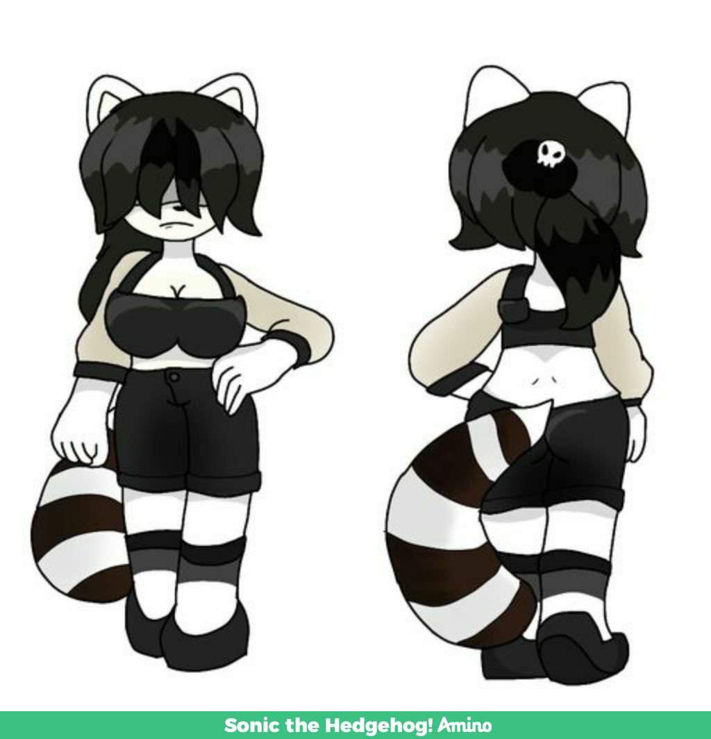 Abby the goth raccoon | Wiki | Sonic the Hedgehog! Amino