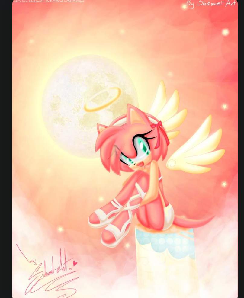 Amy Rose Dressup Fancy By Themonstersbride On Deviant 1937