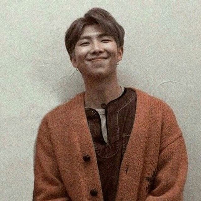 _. Kim NamJoon ._ | Wiki | • | Idol Omegaverse | • Amino