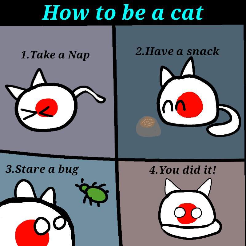 How to be cat | Polandball Amino