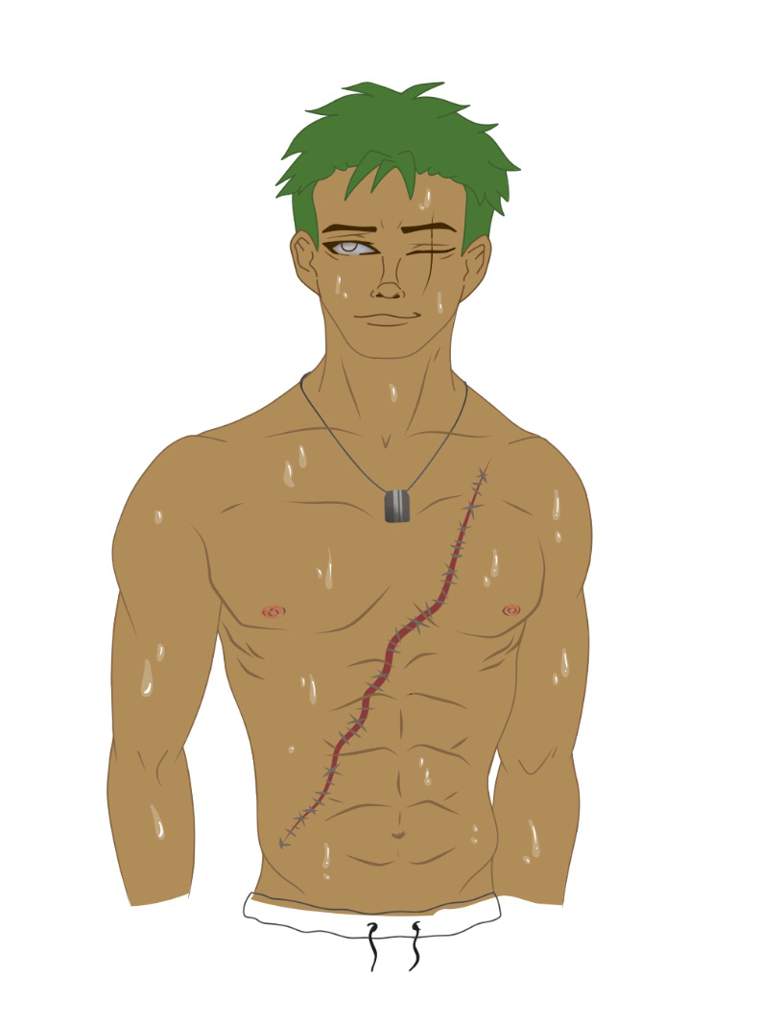 Shirtless Zoro One Piece Amino