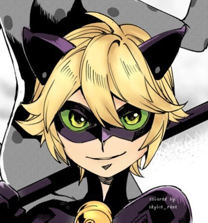 Chat Noir (Manga) | Miraculous Amino