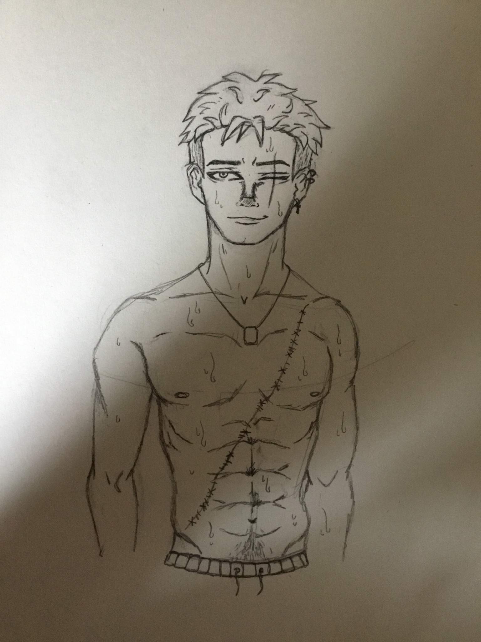 Shirtless Zoro | One Piece Amino