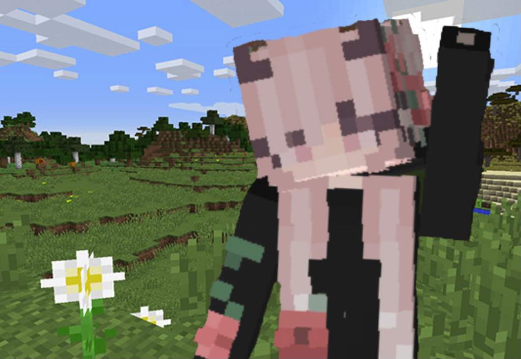 𝚃𝚘𝚜𝚑𝚒♡︎ | Minecraft Amino