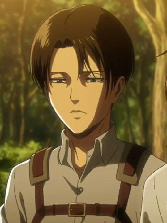 𝐿𝑒𝑣𝑖 𝐴𝑐𝑘𝑒𝑟𝑚𝑎𝑛 𝑆𝑚𝑖𝑙𝑒💕 | Shingeki No Yaoi Riren-Ereri Amino