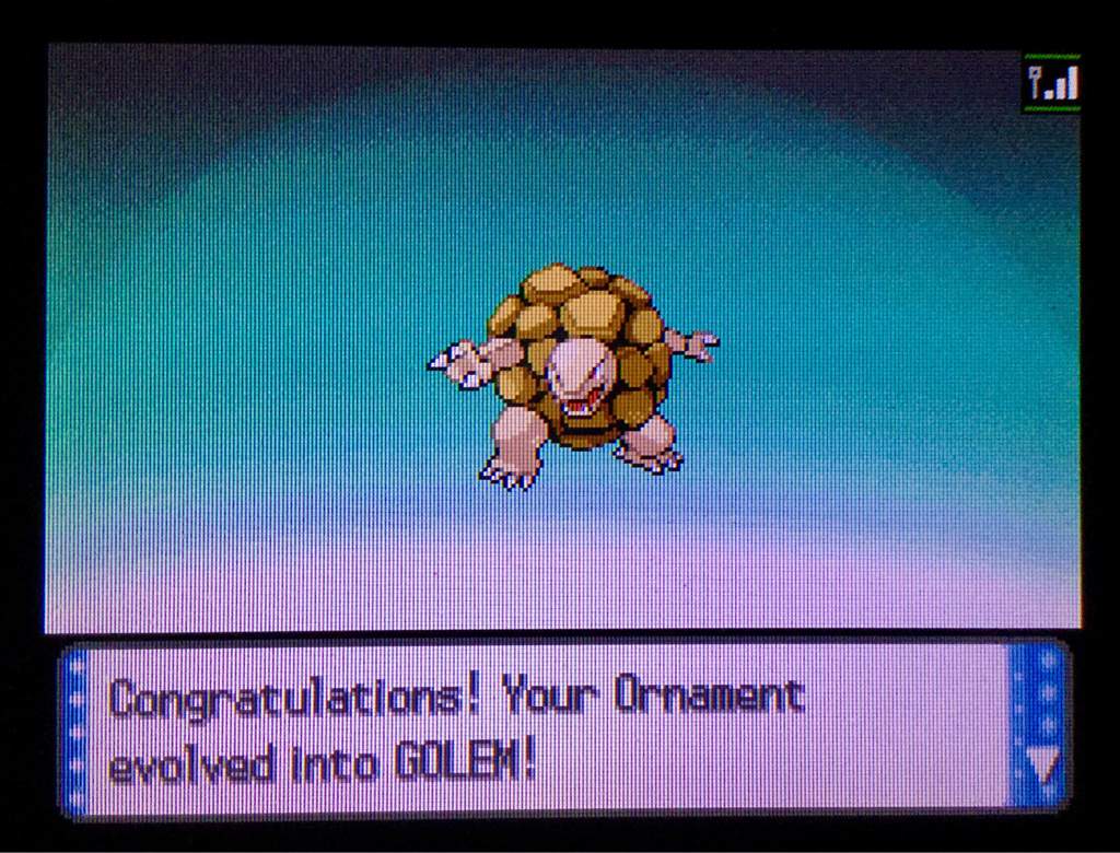 Evolved shiny Graveler into Golem | Pokémon Amino