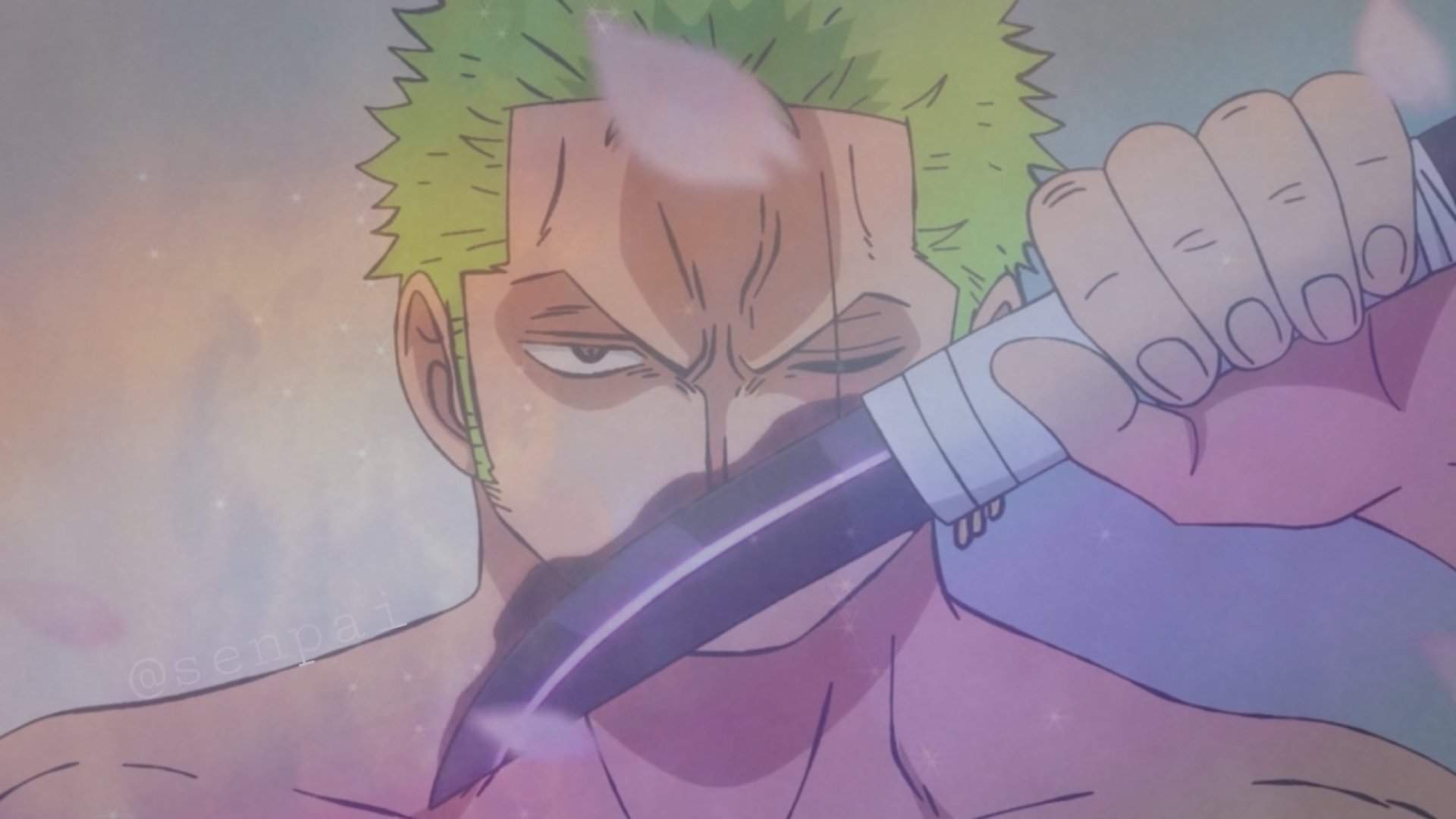 Daily Zoro 38 | One Piece Amino