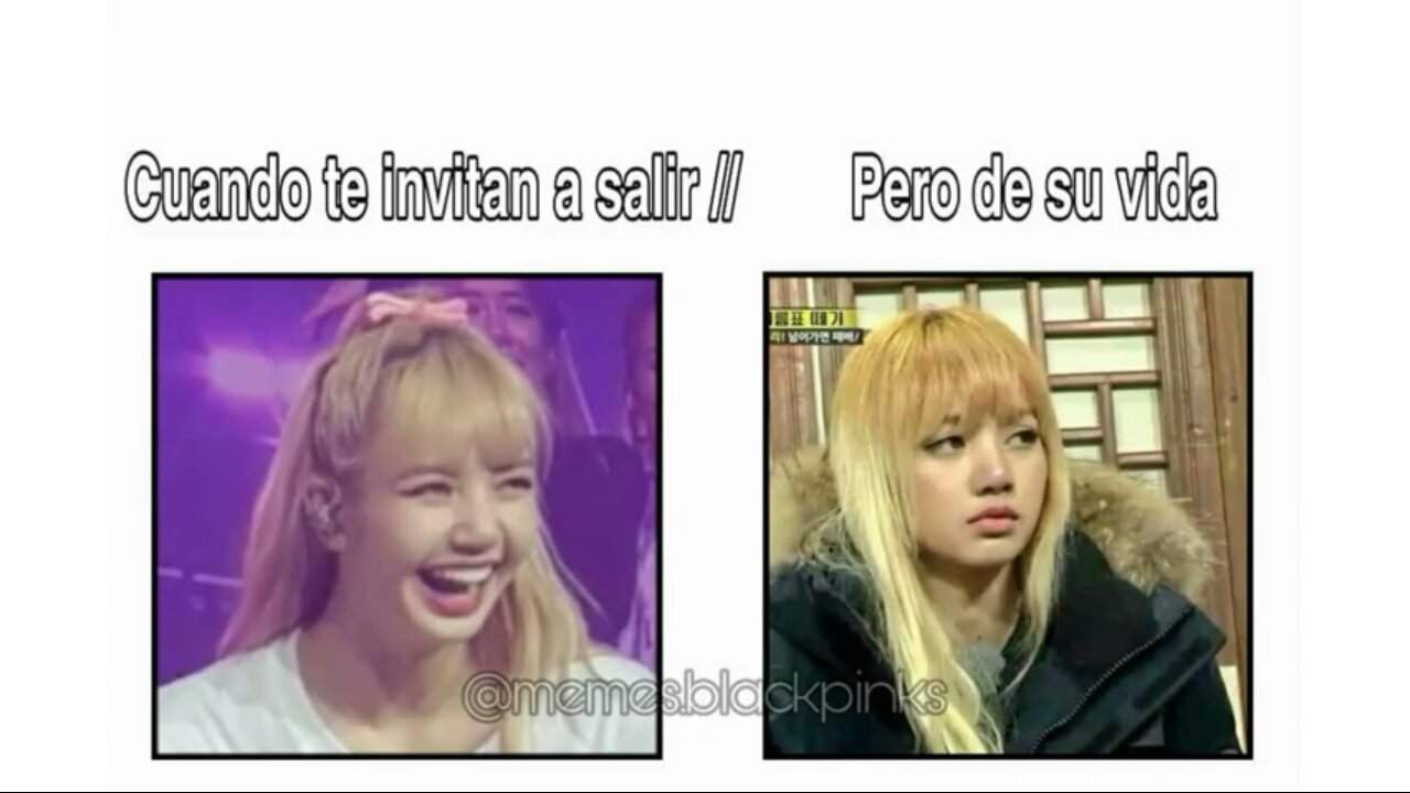 Volvieron los memes en mi perfil!!! Xdd | •BLACKPINK• Amino