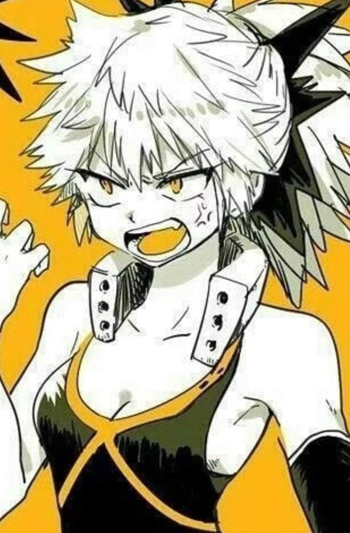 Baka Ann | Wiki | My Hero Academia Amino