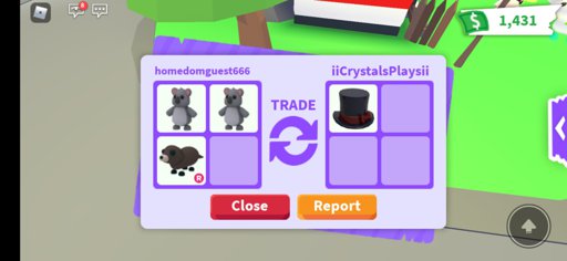 Latest Roblox Adopt Me Amino - econtest.trade.roblox