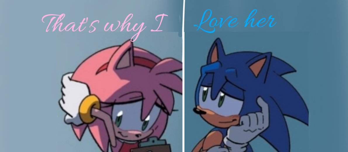 That's why I love her (SONAMY comic dub!) Ft.LightBison | Sonic the ...