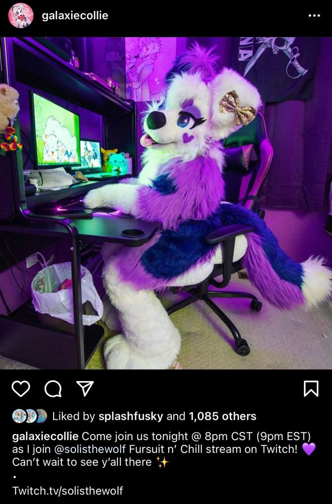 Fursuit N Chill Stream Soon Read For Details Furry Amino