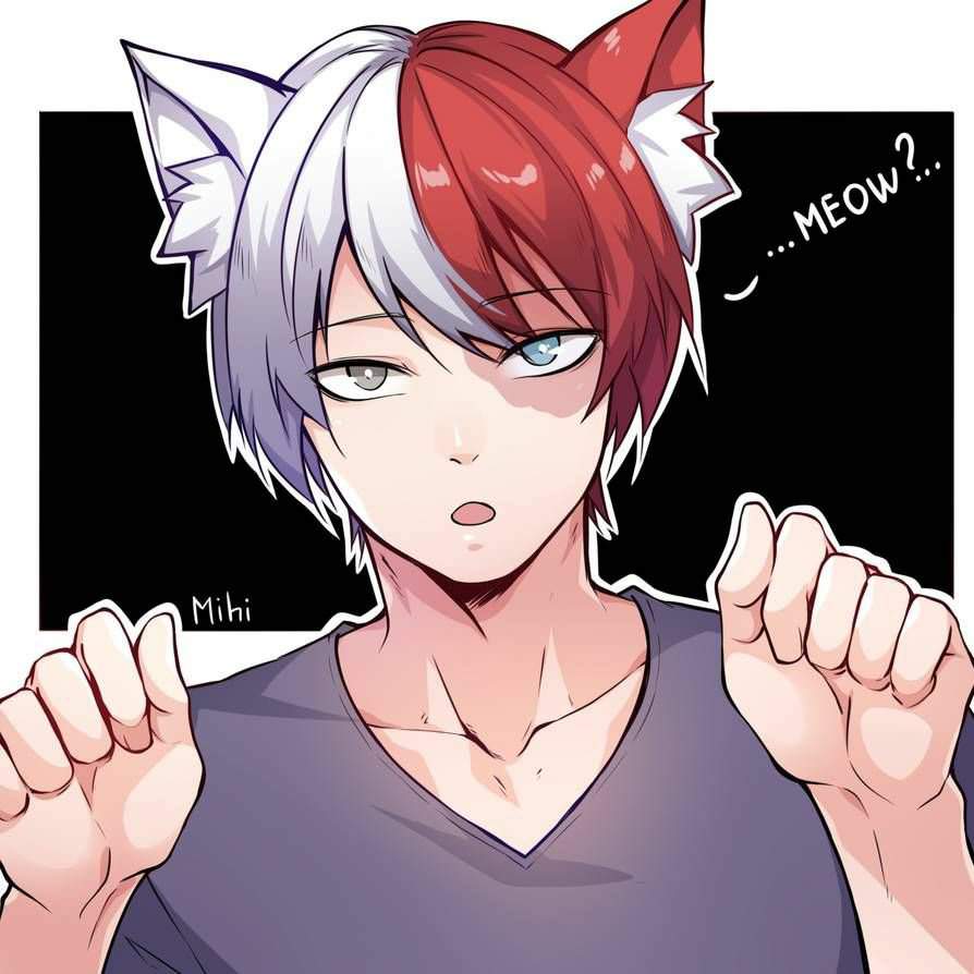 🔥Neko shoto todoroki 🔥 | My Hero Academia Amino