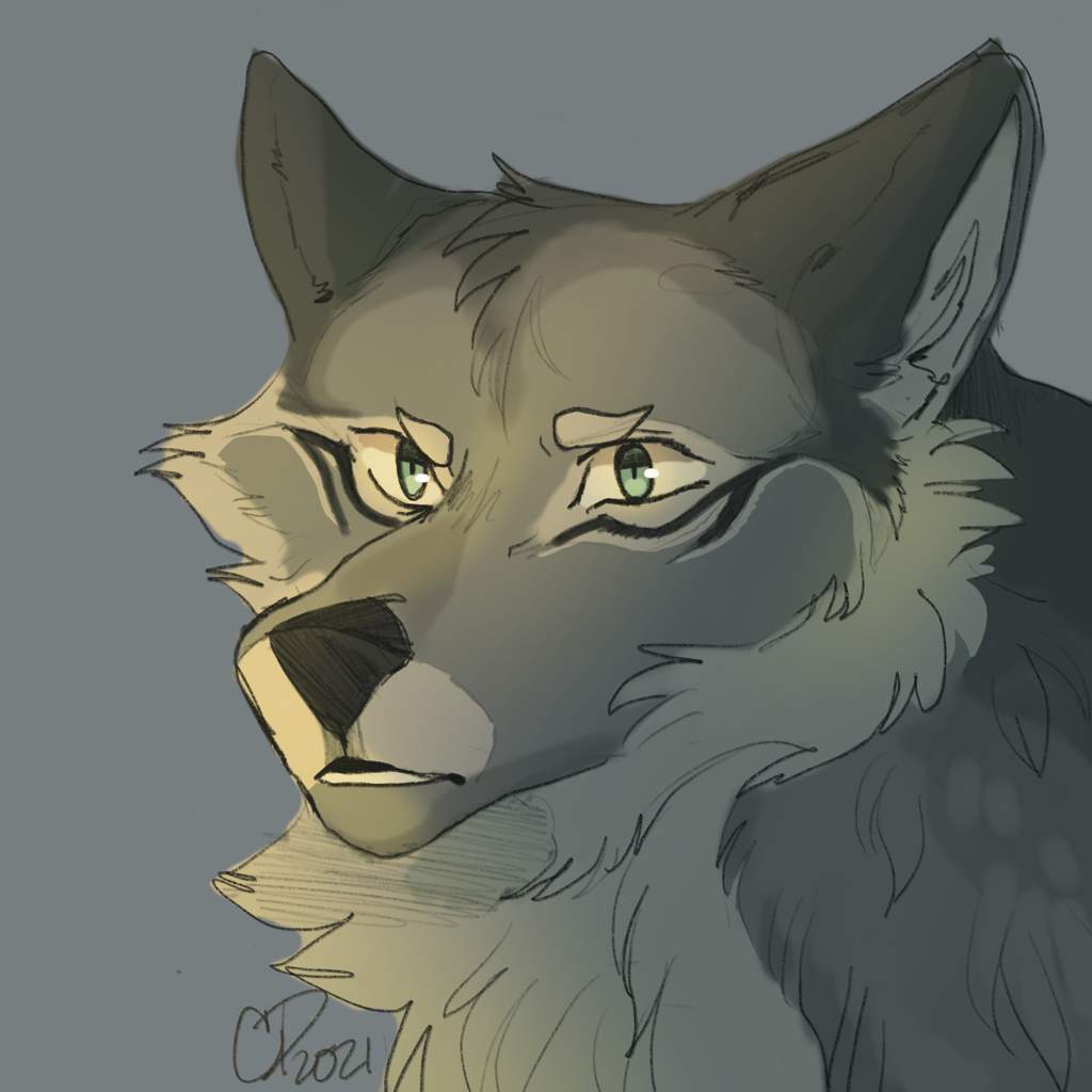Let me draw your OC! [closed] | Wolf Amino Amino
