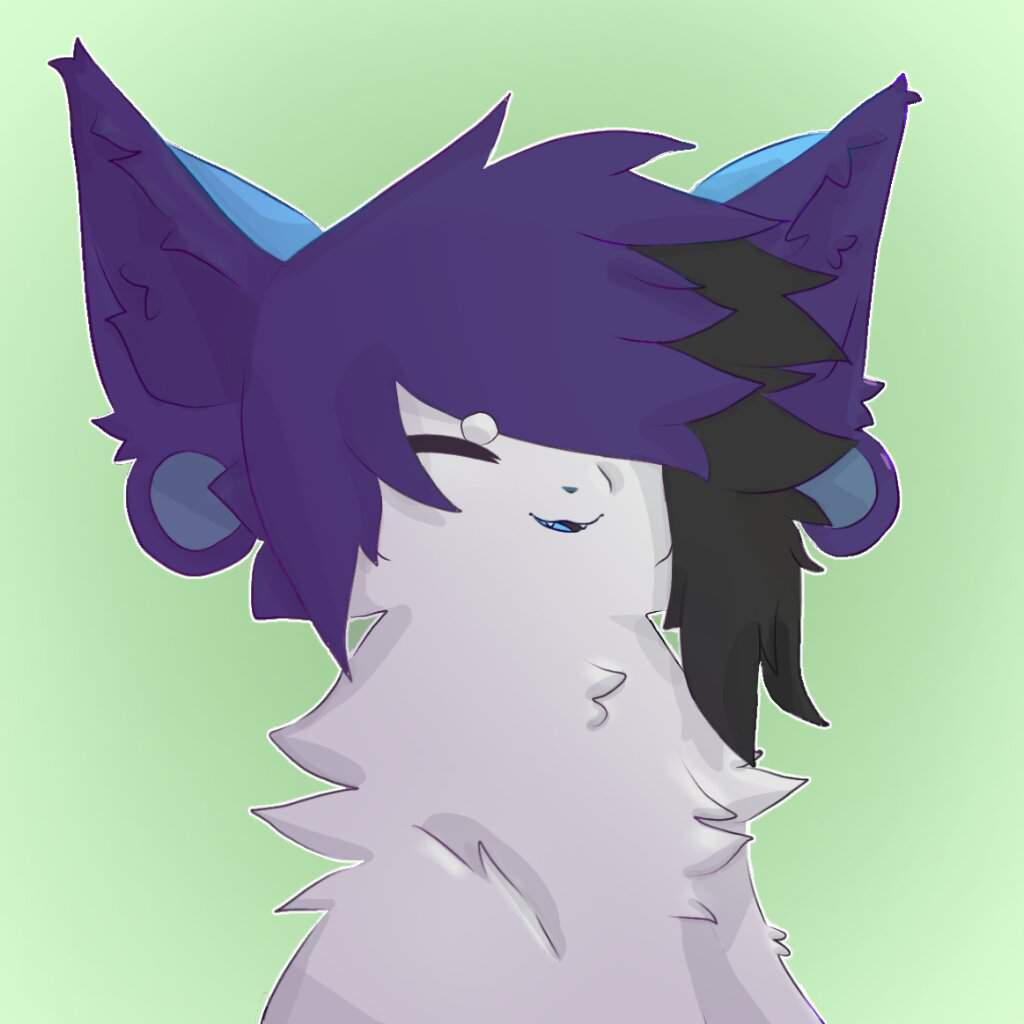 Ari | Wiki | Furry Amino