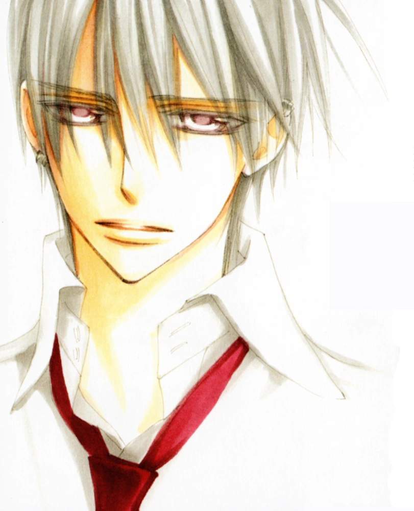 Zero Kiryu | Wiki | Anime Amino