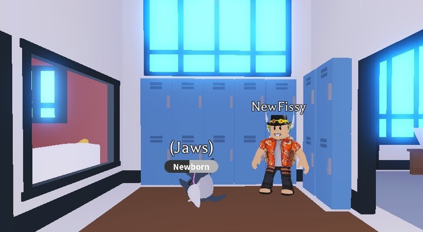 J A W S Roblox Adopt Me Amino - jaws ride roblox