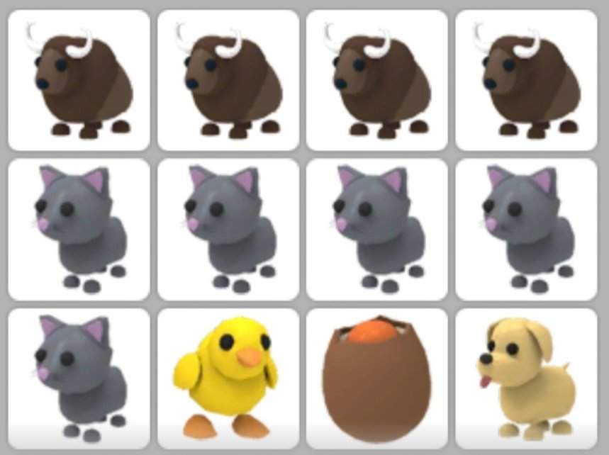 PETS ☆ Wiki • Adopt Me • Amino