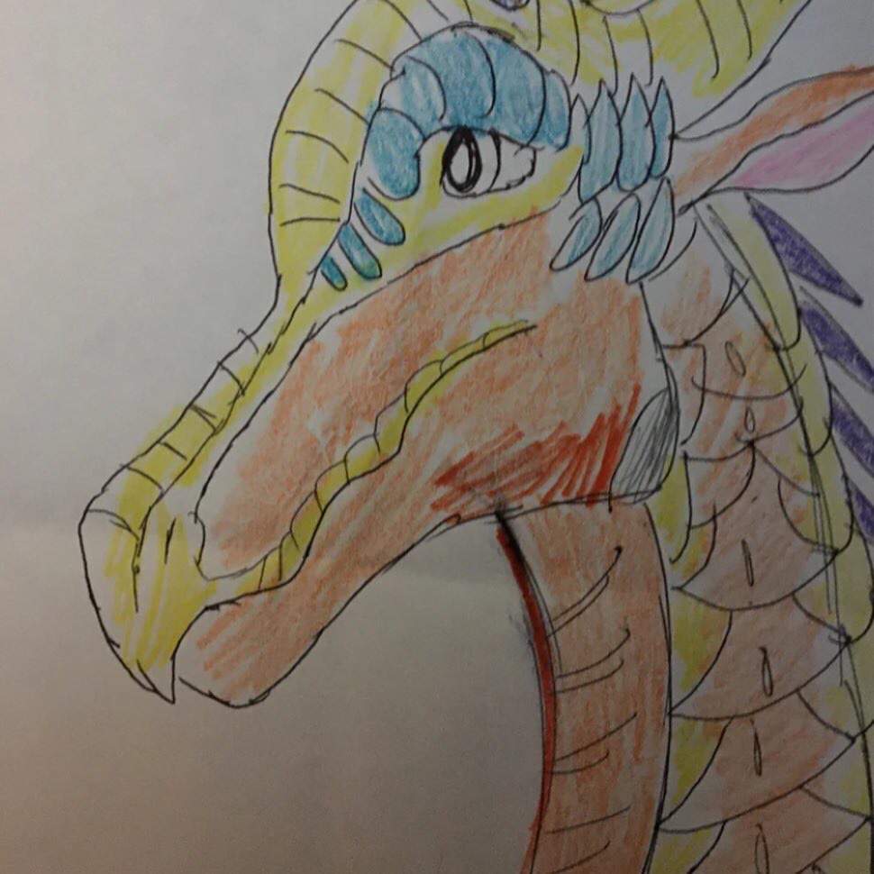 Dandid | Wiki | Wings Of Fire Amino