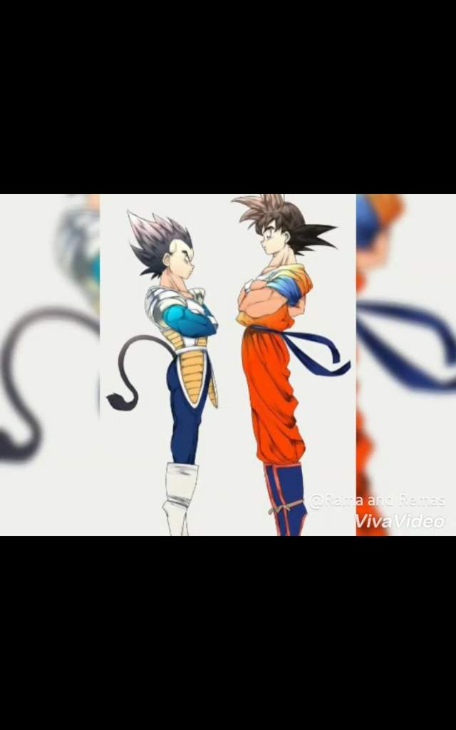 صور غوكو وفيجيتا Wiki Dragon Ball Arabic Amino