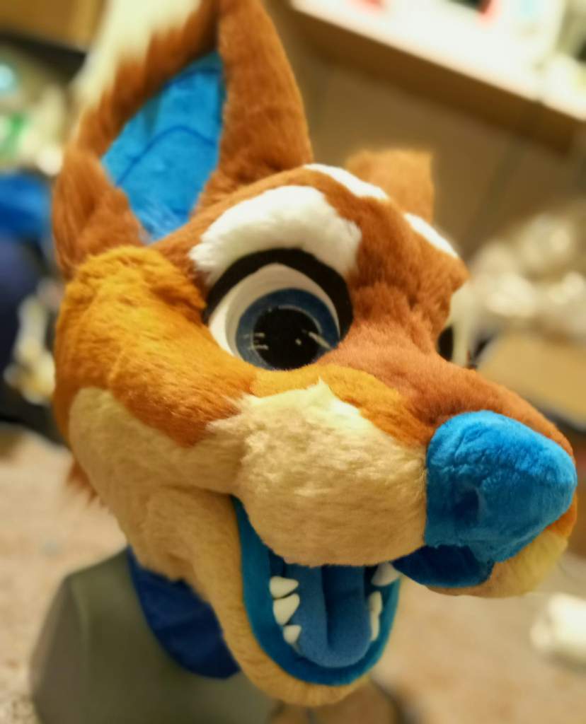 Doggo so far! 🐶 | Fursuit Maker Amino Amino