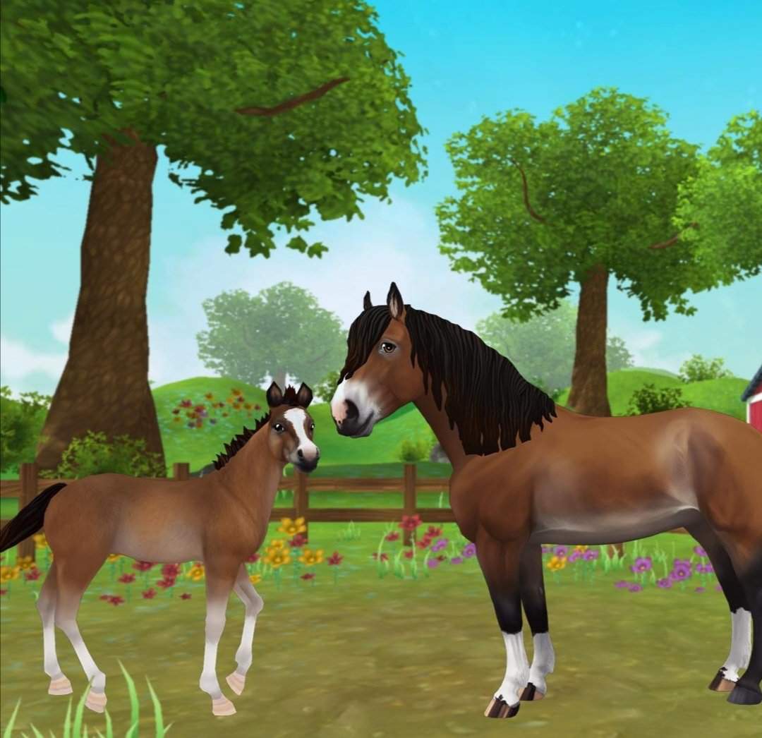 Bay Finnhorse. | Star Stable Online Amino