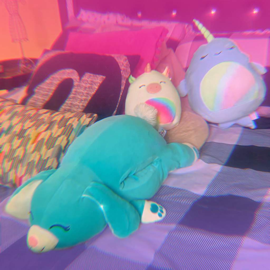 bed-squad-squishmallow-collectors-amino