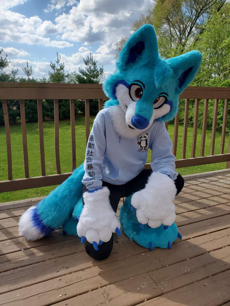 Walk in the Bark | Wiki | Fursuit Maker Amino Amino