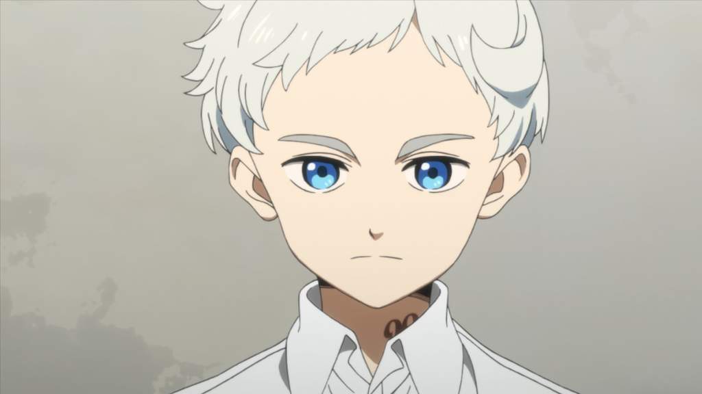 Promised Neverland | Wiki | Anime Amino