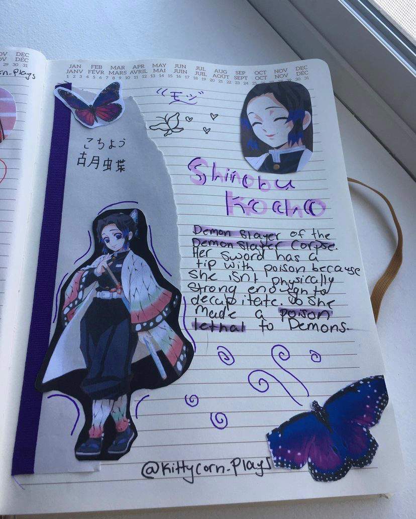 Pages of my Anime journal | Demon Slayer: Kimetsu No Yaiba Amino