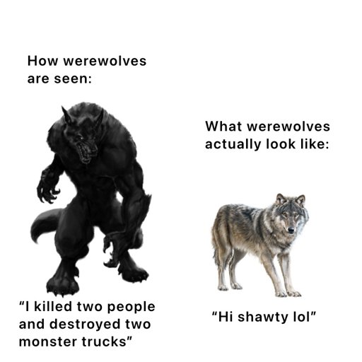 Latest | Werewolf/Shapeshifters Amino