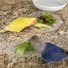 amino-Budgies and Lovebirds-705c6953