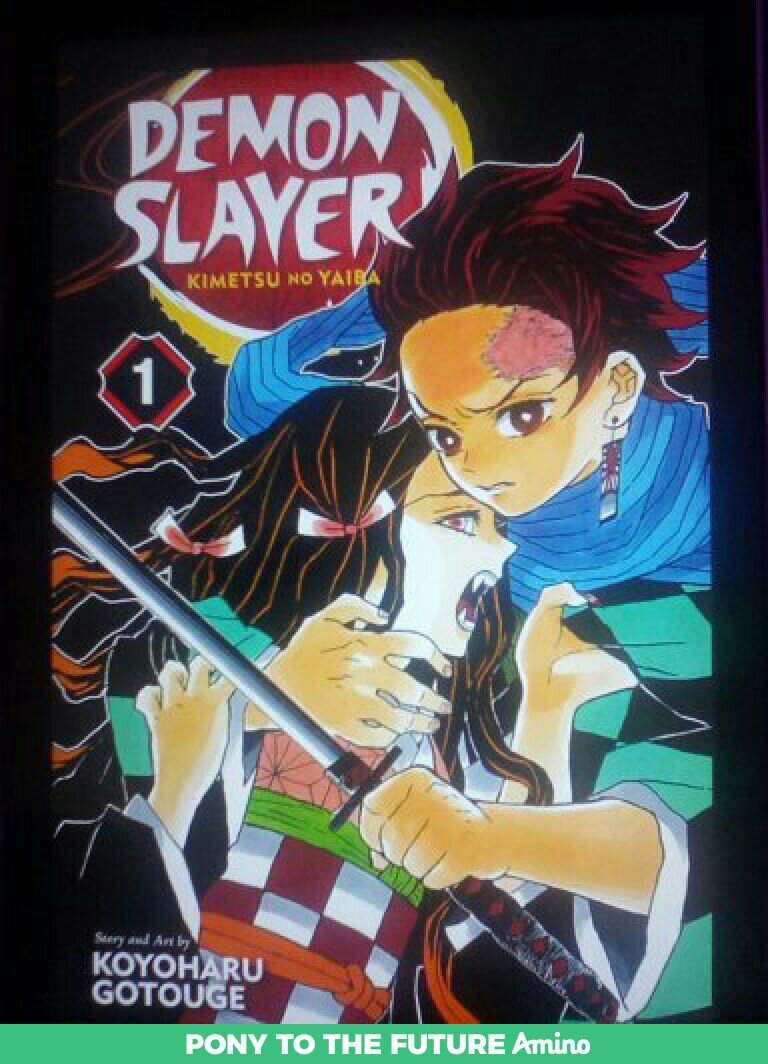 VIZ Demon Slayer Volume 1 Part 1a Review | ~•Crystal Equestria•~ Amino