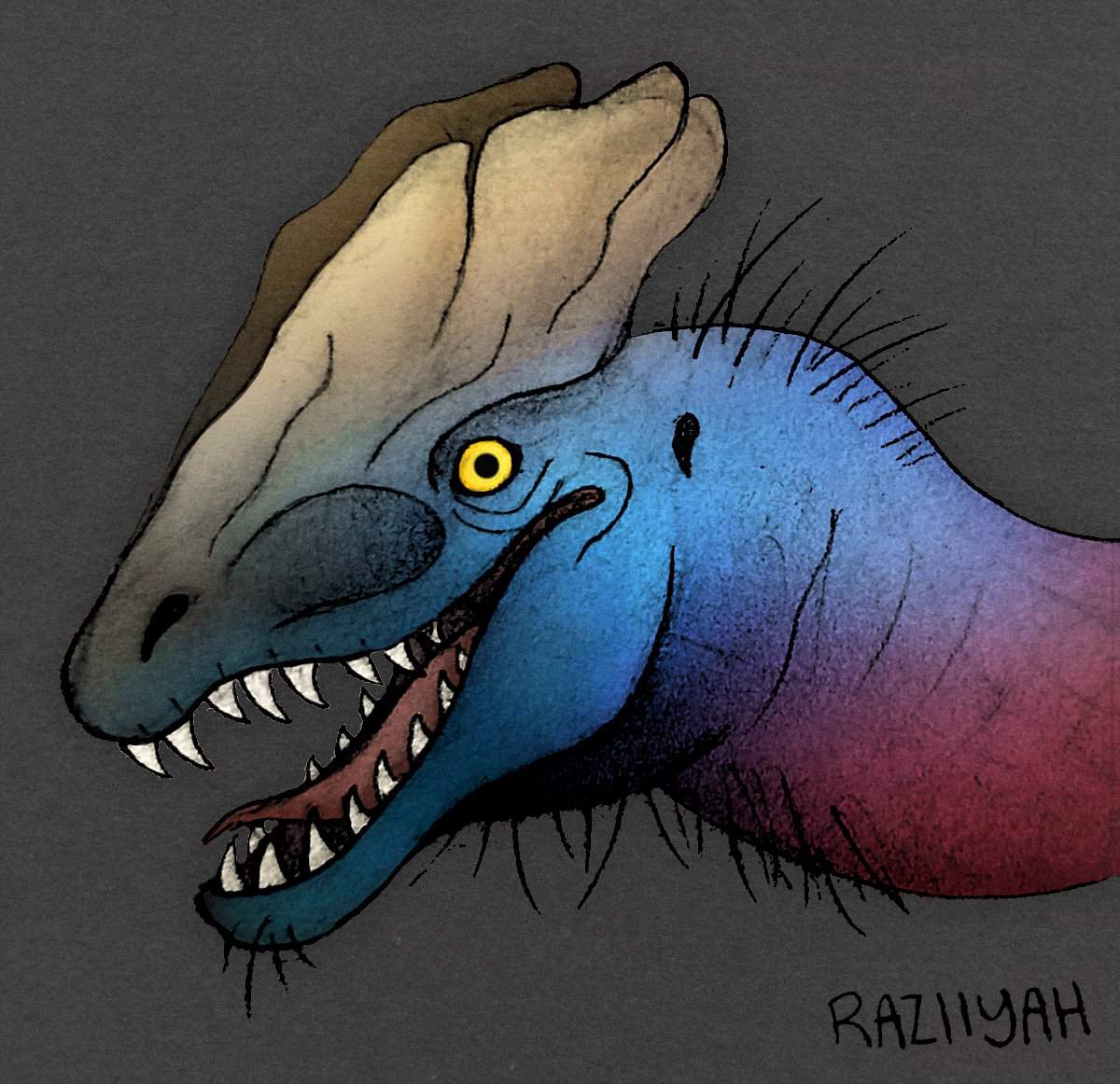 cassowary inspired dilo sketch | Prehistoric Amino! Amino