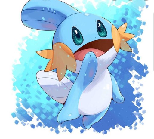 Mudkip, Treecko,or Torchic | Pokémon Amino