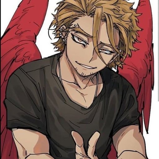 Hawks Headcannons | Wiki | My Hero Academia! 💥 Amino