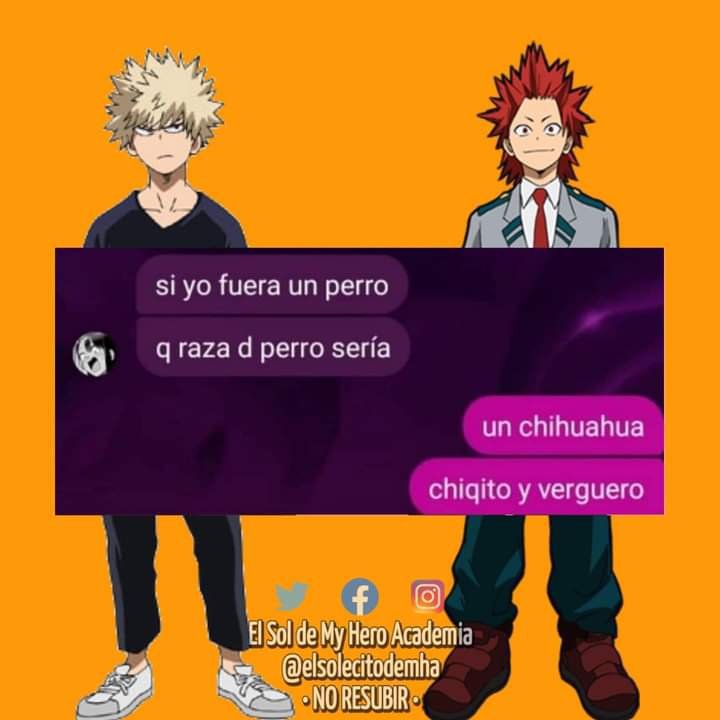 Jajajaja es cierto y si parece chihuahua | Boku no Memes Academia ...