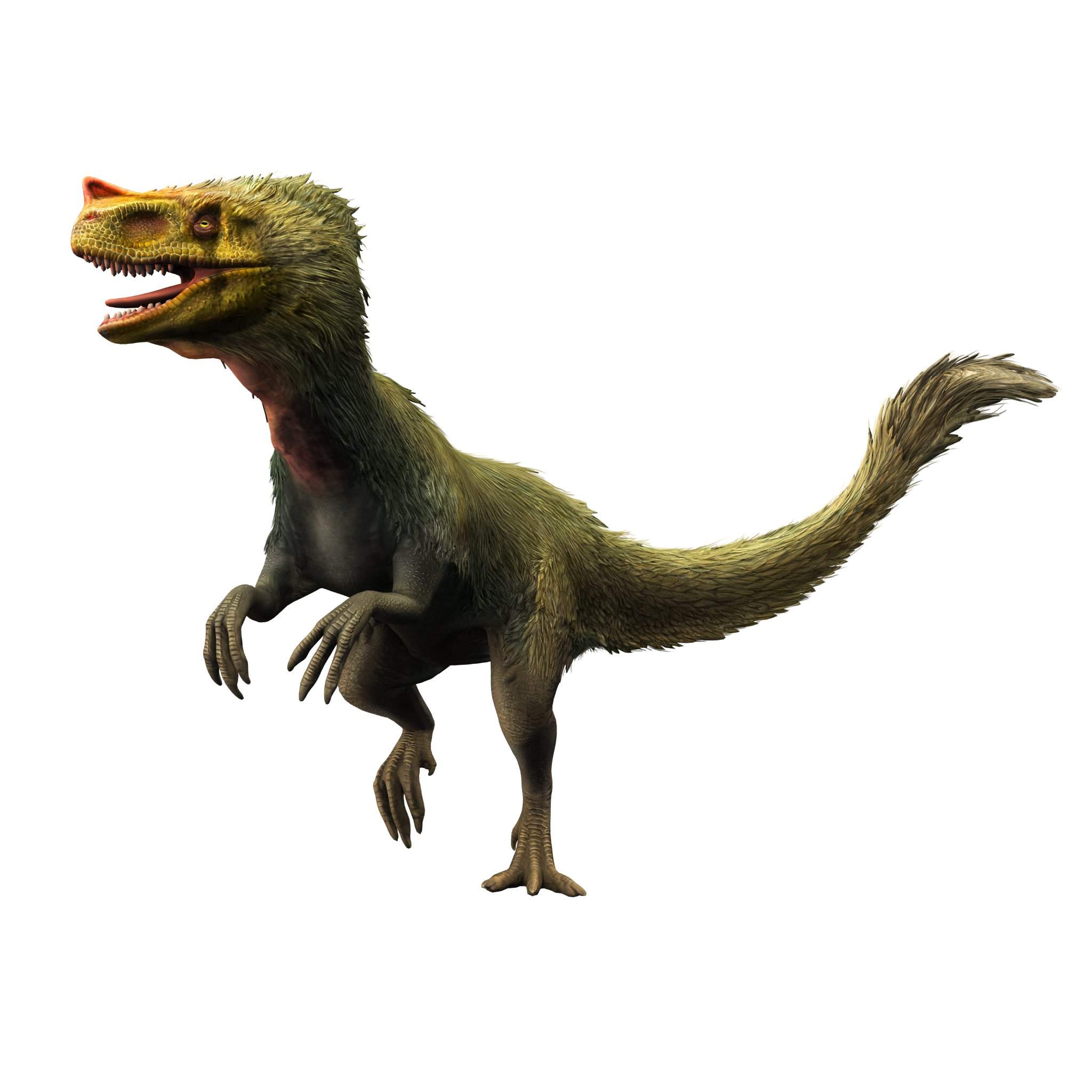 Proceratosaurus OC: (Crest) | Wiki | Camp Cretaceous Amino