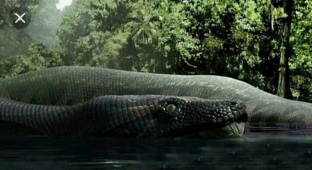 Titanoboa | Wiki | Era Jurasica Amino