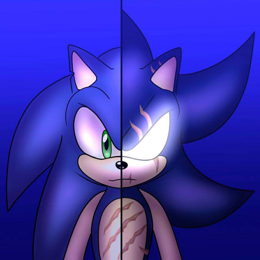 Multiverse Sonic and Dark Multiverse Sonic | Sonic The Hedgehog VC1.0 Amino