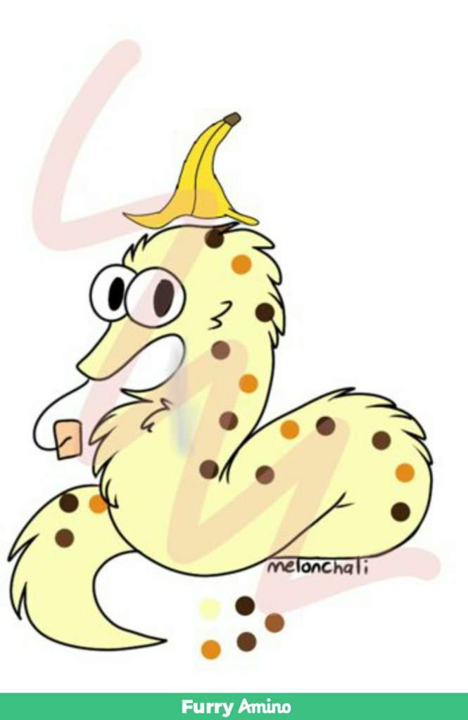 I finally have a worm on a string | Furry Amino
