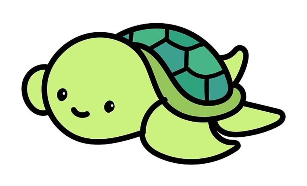 John's Turtle . •°☆ | Hamilton Amino