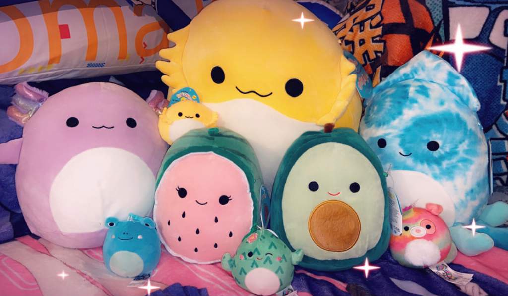 All of my Squishmallows | Squishmallow Collectors Amino