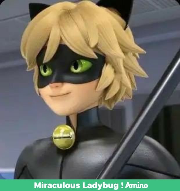 Cat noar | Wiki | Miraculous Ladybug ! Amino