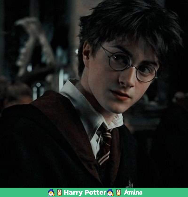 Harry ⚡ | Wiki | 🧙‍♂️🦉Harry Potter &LOTR🧝‍♂️ Amino