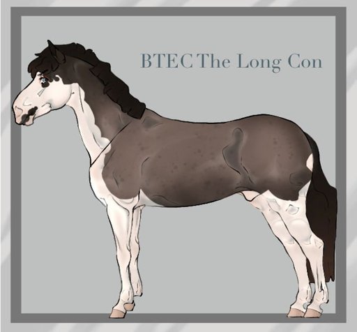 BTEC The Long Con | Wiki | Horse Art RPG Amino