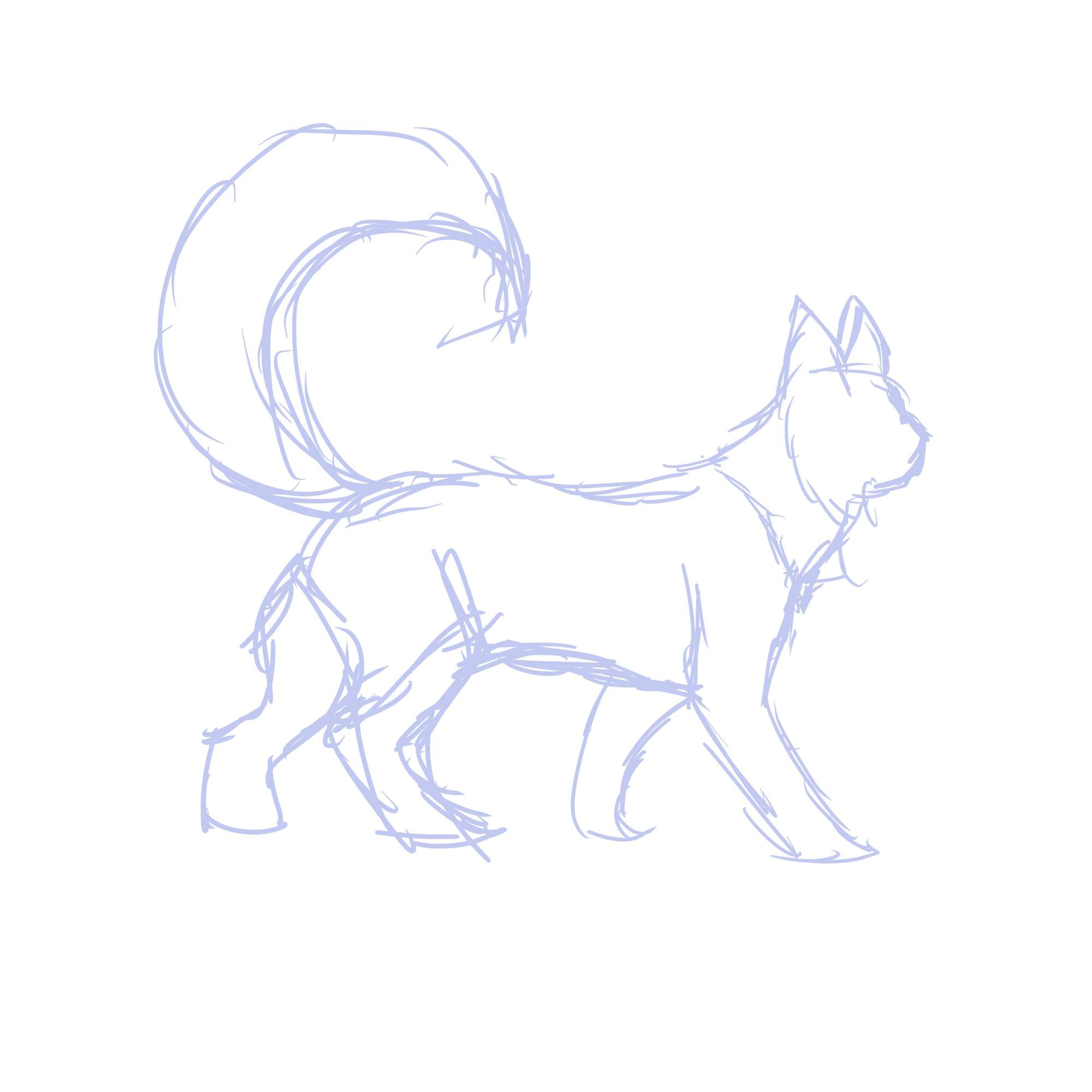 Tips on how I draw a fluffy cat | Warriors Amino