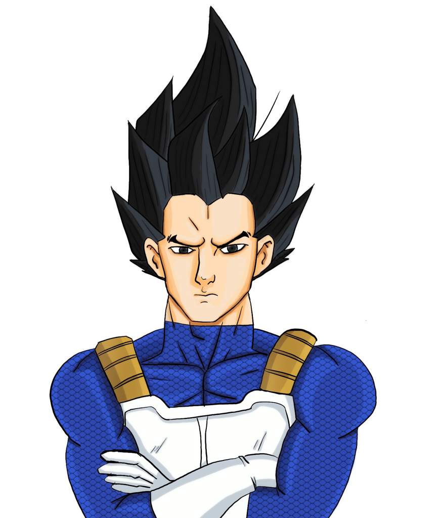 Semi-Realistic Vegeta | DragonBallZ Amino